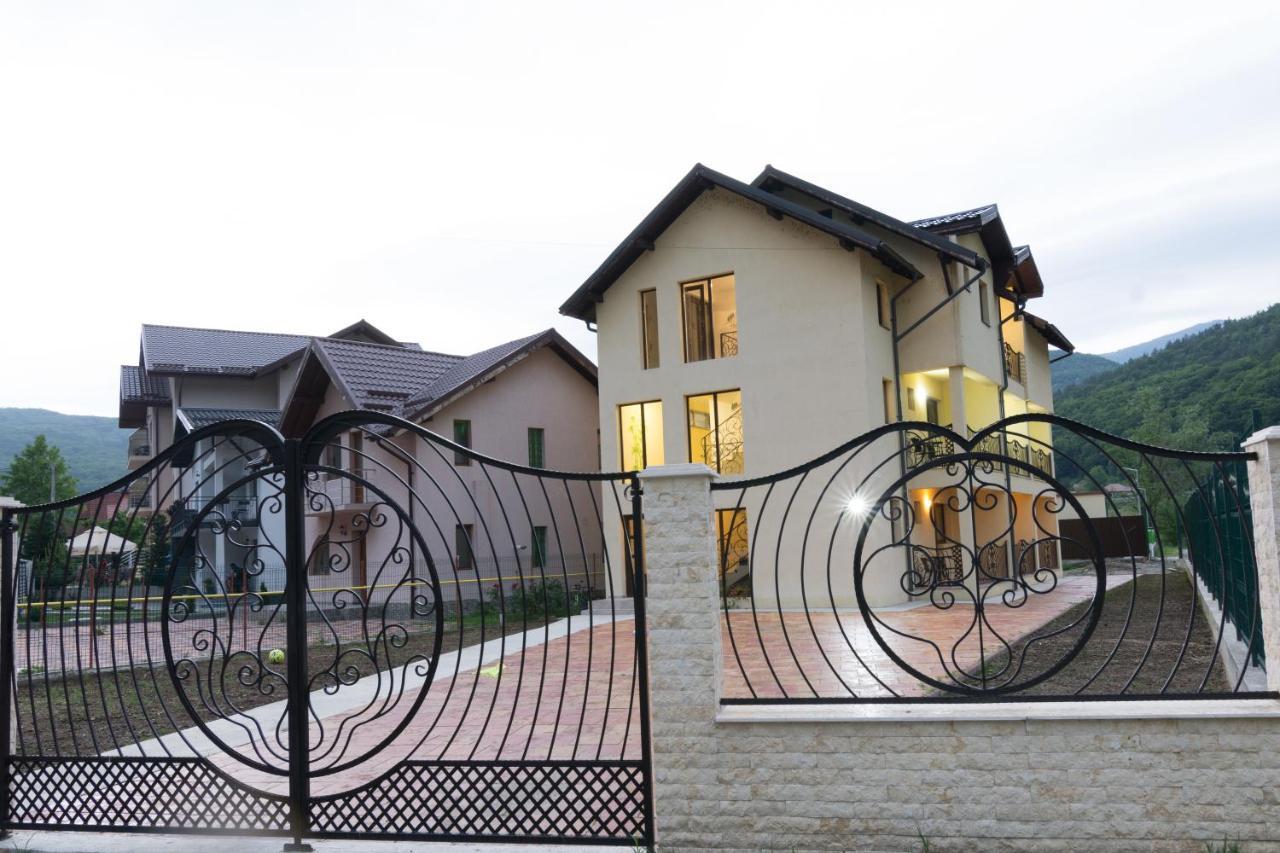 Vila Poienita Caciulata Călimăneşti Εξωτερικό φωτογραφία