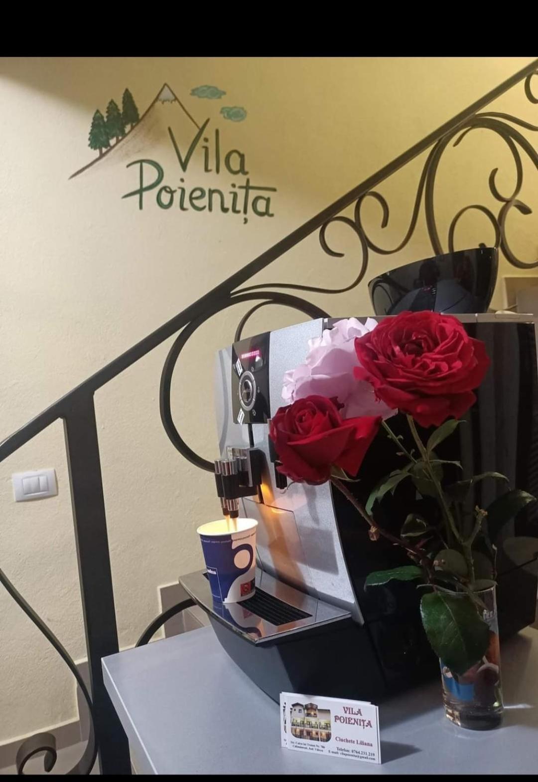 Vila Poienita Caciulata Călimăneşti Εξωτερικό φωτογραφία
