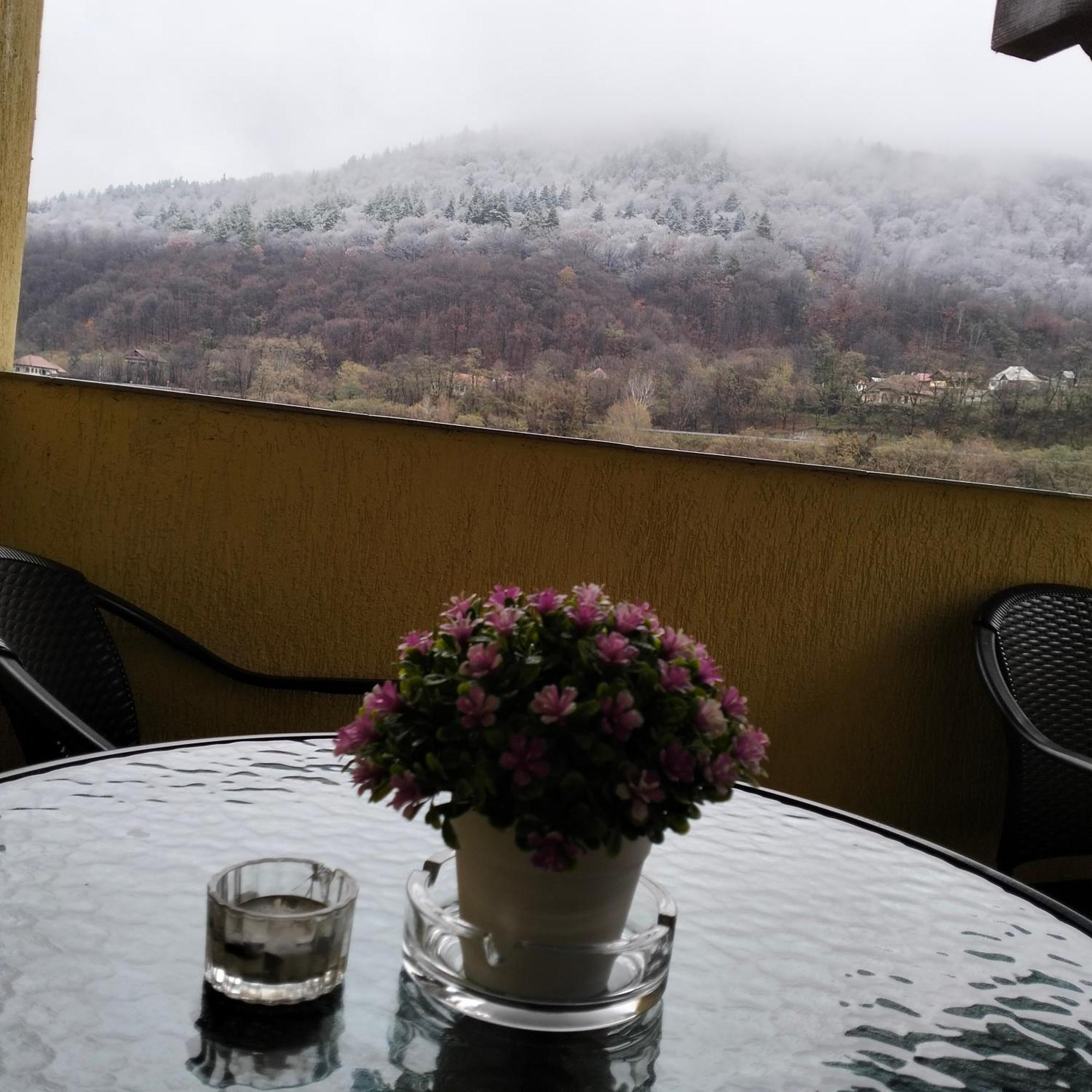 Vila Poienita Caciulata Călimăneşti Εξωτερικό φωτογραφία